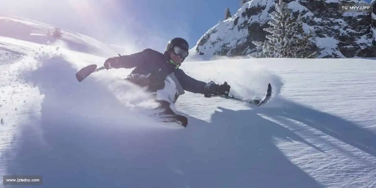 为什么选择我们